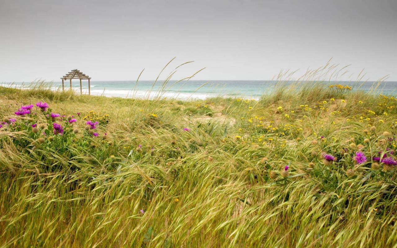 Romantic Beach Cabin - Playa El Palmar 埃尔帕尔马 外观 照片